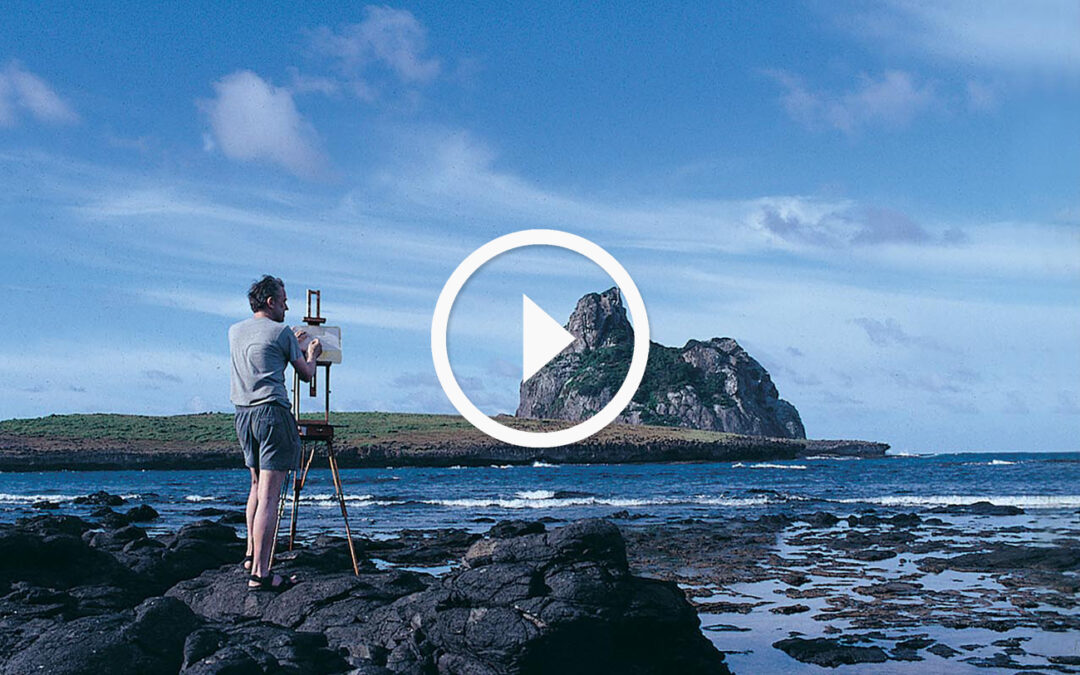 A Painter’s Palette | Fernando de Noronha, Brazil