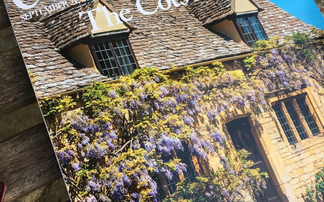 21 September 2016 | Country Life Magazine | What to See This Week | Jeremy Gardiner Pillars of Light