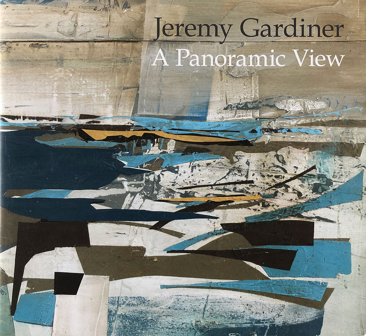 The book cover of A Panoramic View by Jeremy Gardiner